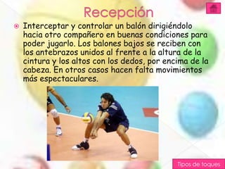    Interceptar y controlar un balón dirigiéndolo
    hacia otro compañero en buenas condiciones para
    poder jugarlo. Los balones bajos se reciben con
    los antebrazos unidos al frente a la altura de la
    cintura y los altos con los dedos, por encima de la
    cabeza. En otros casos hacen falta movimientos
    más espectaculares.




                                              Tipos de toques
 
