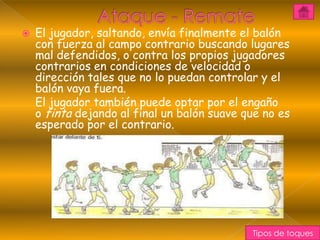    El jugador, saltando, envía finalmente el balón
    con fuerza al campo contrario buscando lugares
    mal defendidos, o contra los propios jugadores
    contrarios en condiciones de velocidad o
    dirección tales que no lo puedan controlar y el
    balón vaya fuera.
    El jugador también puede optar por el engaño
    o finta dejando al final un balón suave que no es
    esperado por el contrario.




                                             Tipos de toques
 