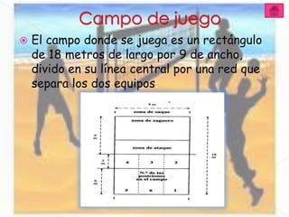    El campo donde se juega es un rectángulo
    de 18 metros de largo por 9 de ancho,
    divido en su línea central por una red que
    separa los dos equipos.
 
