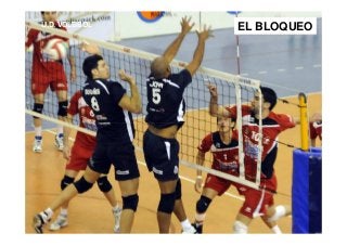 U.D. VOLEIBOL EL BLOQUEO
 