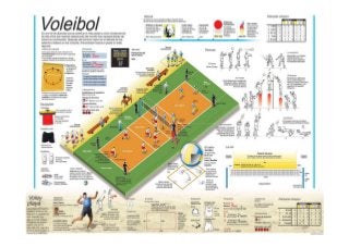 Voley teoría