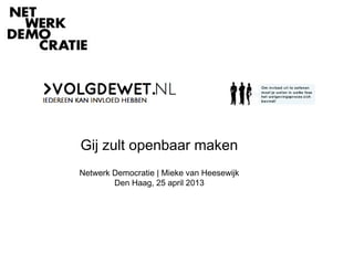 Gij zult openbaar maken
Netwerk Democratie | Mieke van Heesewijk
Den Haag, 25 april 2013
 