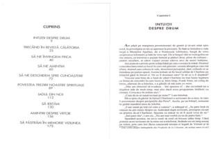 Vol II - a Zecea viziune 