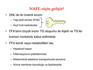 NAFL niçin gelişir? 
•DNL’de iki önemli enzim 
–Yağ asidi sentaz (FAS) 
–Acyl CoA karboksilaz 
•FFA’ların büyük kısmı TG oluşumu ile ilişkili ve TG’ler kısmen nontoksik kabul edilmekte 
•FFA kendi veya metabolitleri ise; 
–Hepatosit hasarı 
–İnflamasyonun şiddetlenmesi 
–Mitekondrial eklektron transportunda bozulma 
–Hücre membran bozukluğu ve lipotoksisite 
 