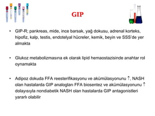 GIP 
•GIP-R; pankreas, mide, ince barsak, yağ dokusu, adrenal korteks, hipofiz, kalp, testis, endotelyal hücreler, kemik, beyin ve SSS’de yer almakta 
•Glukoz metabolizmasına ek olarak lipid hemaostazisinde anahtar rol oynamakta 
•Adipoz dokuda FFA reesterifikasyonu ve akümülasyonunu , NASH olan hastalarda GIP analogları FFA biosentez ve akümülasyonunu  dolayısıyla nondiabetik NASH olan hastalarda GIP antagonistleri yararlı olabilir  