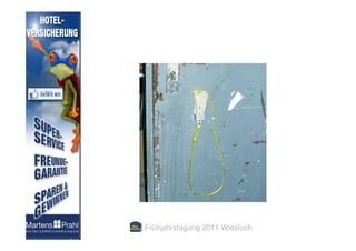 Frühjahrstagung 2011 Wiesloch
 