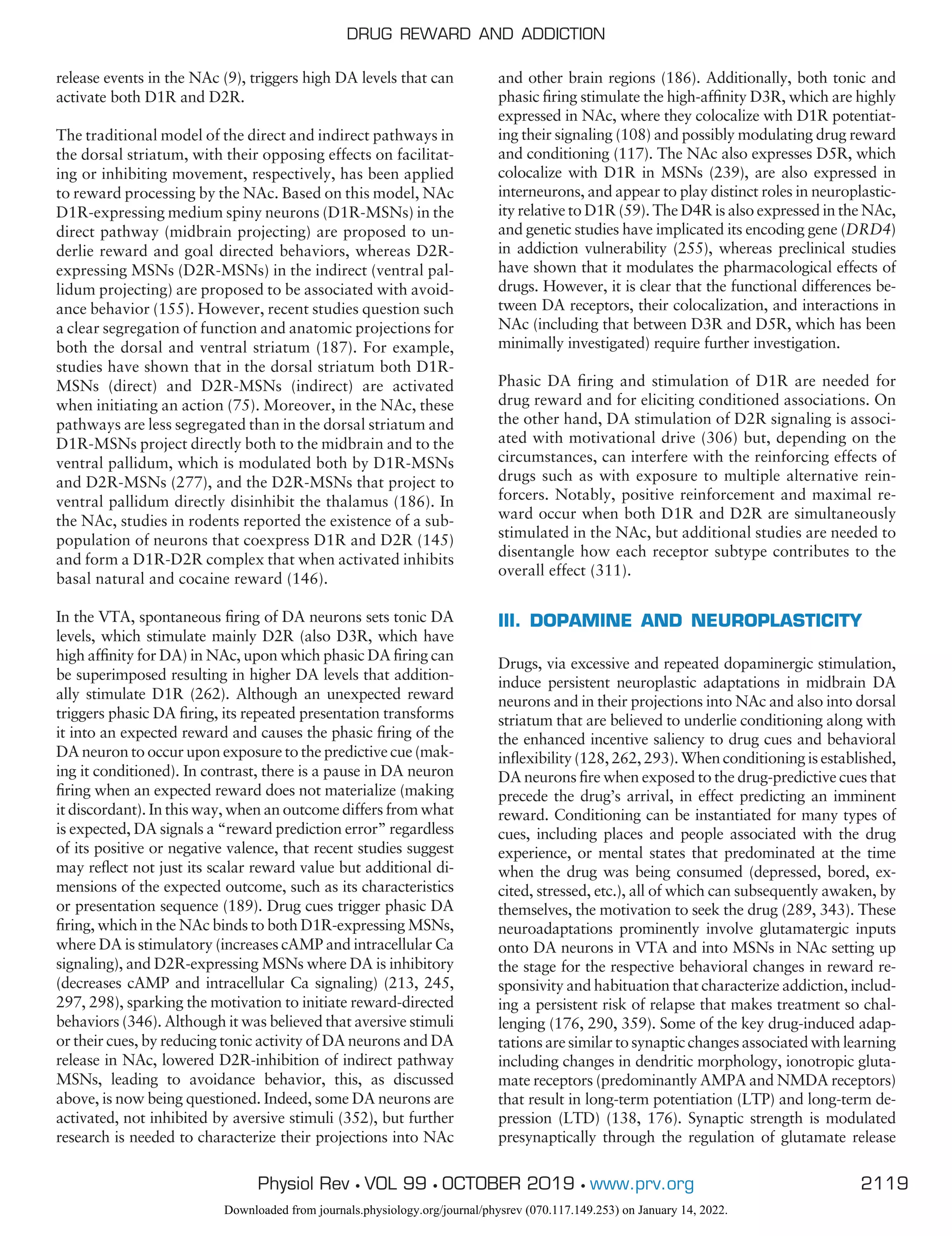 release events in the NAc (9), triggers high DA levels that can
activate both D1R and D2R.
The traditional model of the direct and indirect pathways in
the dorsal striatum, with their opposing effects on facilitat-
ing or inhibiting movement, respectively, has been applied
to reward processing by the NAc. Based on this model, NAc
D1R-expressing medium spiny neurons (D1R-MSNs) in the
direct pathway (midbrain projecting) are proposed to un-
derlie reward and goal directed behaviors, whereas D2R-
expressing MSNs (D2R-MSNs) in the indirect (ventral pal-
lidum projecting) are proposed to be associated with avoid-
ance behavior (155). However, recent studies question such
a clear segregation of function and anatomic projections for
both the dorsal and ventral striatum (187). For example,
studies have shown that in the dorsal striatum both D1R-
MSNs (direct) and D2R-MSNs (indirect) are activated
when initiating an action (75). Moreover, in the NAc, these
pathways are less segregated than in the dorsal striatum and
D1R-MSNs project directly both to the midbrain and to the
ventral pallidum, which is modulated both by D1R-MSNs
and D2R-MSNs (277), and the D2R-MSNs that project to
ventral pallidum directly disinhibit the thalamus (186). In
the NAc, studies in rodents reported the existence of a sub-
population of neurons that coexpress D1R and D2R (145)
and form a D1R-D2R complex that when activated inhibits
basal natural and cocaine reward (146).
In the VTA, spontaneous firing of DA neurons sets tonic DA
levels, which stimulate mainly D2R (also D3R, which have
high affinity for DA) in NAc, upon which phasic DA firing can
be superimposed resulting in higher DA levels that addition-
ally stimulate D1R (262). Although an unexpected reward
triggers phasic DA firing, its repeated presentation transforms
it into an expected reward and causes the phasic firing of the
DA neuron to occur upon exposure to the predictive cue (mak-
ing it conditioned). In contrast, there is a pause in DA neuron
firing when an expected reward does not materialize (making
it discordant). In this way, when an outcome differs from what
is expected, DA signals a “reward prediction error” regardless
of its positive or negative valence, that recent studies suggest
may reflect not just its scalar reward value but additional di-
mensions of the expected outcome, such as its characteristics
or presentation sequence (189). Drug cues trigger phasic DA
firing, which in the NAc binds to both D1R-expressing MSNs,
where DA is stimulatory (increases cAMP and intracellular Ca
signaling), and D2R-expressing MSNs where DA is inhibitory
(decreases cAMP and intracellular Ca signaling) (213, 245,
297, 298), sparking the motivation to initiate reward-directed
behaviors (346). Although it was believed that aversive stimuli
or their cues, by reducing tonic activity of DA neurons and DA
release in NAc, lowered D2R-inhibition of indirect pathway
MSNs, leading to avoidance behavior, this, as discussed
above, is now being questioned. Indeed, some DA neurons are
activated, not inhibited by aversive stimuli (352), but further
research is needed to characterize their projections into NAc
and other brain regions (186). Additionally, both tonic and
phasic firing stimulate the high-affinity D3R, which are highly
expressed in NAc, where they colocalize with D1R potentiat-
ing their signaling (108) and possibly modulating drug reward
and conditioning (117). The NAc also expresses D5R, which
colocalize with D1R in MSNs (239), are also expressed in
interneurons, and appear to play distinct roles in neuroplastic-
ity relative to D1R (59). The D4R is also expressed in the NAc,
and genetic studies have implicated its encoding gene (DRD4)
in addiction vulnerability (255), whereas preclinical studies
have shown that it modulates the pharmacological effects of
drugs. However, it is clear that the functional differences be-
tween DA receptors, their colocalization, and interactions in
NAc (including that between D3R and D5R, which has been
minimally investigated) require further investigation.
Phasic DA firing and stimulation of D1R are needed for
drug reward and for eliciting conditioned associations. On
the other hand, DA stimulation of D2R signaling is associ-
ated with motivational drive (306) but, depending on the
circumstances, can interfere with the reinforcing effects of
drugs such as with exposure to multiple alternative rein-
forcers. Notably, positive reinforcement and maximal re-
ward occur when both D1R and D2R are simultaneously
stimulated in the NAc, but additional studies are needed to
disentangle how each receptor subtype contributes to the
overall effect (311).
III. DOPAMINE AND NEUROPLASTICITY
Drugs, via excessive and repeated dopaminergic stimulation,
induce persistent neuroplastic adaptations in midbrain DA
neurons and in their projections into NAc and also into dorsal
striatum that are believed to underlie conditioning along with
the enhanced incentive saliency to drug cues and behavioral
inflexibility (128, 262, 293). When conditioning is established,
DA neurons fire when exposed to the drug-predictive cues that
precede the drug’s arrival, in effect predicting an imminent
reward. Conditioning can be instantiated for many types of
cues, including places and people associated with the drug
experience, or mental states that predominated at the time
when the drug was being consumed (depressed, bored, ex-
cited, stressed, etc.), all of which can subsequently awaken, by
themselves, the motivation to seek the drug (289, 343). These
neuroadaptations prominently involve glutamatergic inputs
onto DA neurons in VTA and into MSNs in NAc setting up
the stage for the respective behavioral changes in reward re-
sponsivity and habituation that characterize addiction, includ-
ing a persistent risk of relapse that makes treatment so chal-
lenging (176, 290, 359). Some of the key drug-induced adap-
tations are similar to synaptic changes associated with learning
including changes in dendritic morphology, ionotropic gluta-
mate receptors (predominantly AMPA and NMDA receptors)
that result in long-term potentiation (LTP) and long-term de-
pression (LTD) (138, 176). Synaptic strength is modulated
presynaptically through the regulation of glutamate release
DRUG REWARD AND ADDICTION
2119
Physiol Rev • VOL 99 • OCTOBER 2019 • www.prv.org
Downloaded from journals.physiology.org/journal/physrev (070.117.149.253) on January 14, 2022.
 