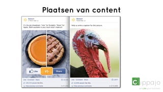 Plaatsen van content
 