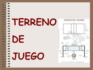 TERRENO 
DE 
JUEGO 
 
