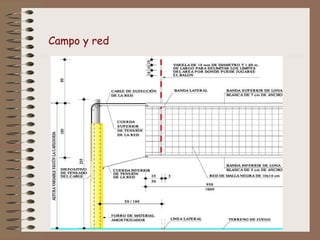 Campo y red 
 