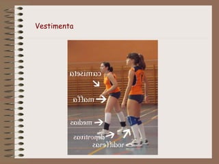 Vestimenta 
 
