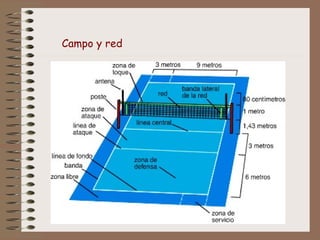 Campo y red
 