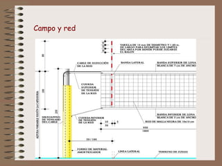Campo y red
 