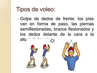 Tipos de voleo:
Golpe de dedos de frente: los píes
van en forma de paso, las piernas
semiflexionadas, brazos flexionados y
los dedos delante de la cara a la
altura de los ojos.
 