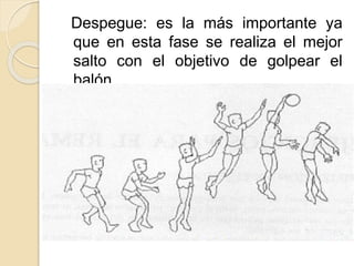 Despegue: es la más importante ya
que en esta fase se realiza el mejor
salto con el objetivo de golpear el
balón.
 