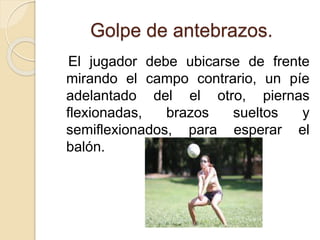Golpe de antebrazos.
El jugador debe ubicarse de frente
mirando el campo contrario, un píe
adelantado del el otro, piernas
flexionadas, brazos sueltos y
semiflexionados, para esperar el
balón.
 