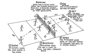 Volleyball Function Volleyball | PPTX
