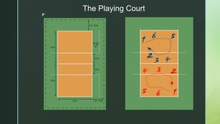 z
The Playing Court
 