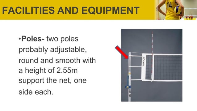 Volleyball Rules Regulations History Pdf Pdf