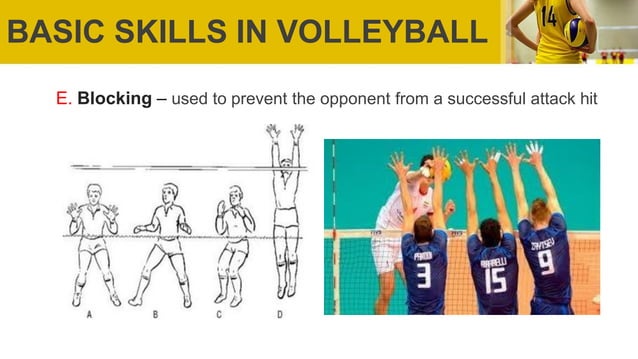 Volleyball Rules Regulations History Pdf Pdf
