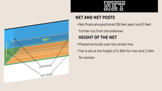 NET AND NET POSTS
•Net Posts are positioned 36 feet apart and 3 feet
further out from the sidelines.
HEIGHT OF THE NET
•Placed vertically over the center line.
•Top is set at the height of 2.43m for men and 2.24m
for women.
net
 
