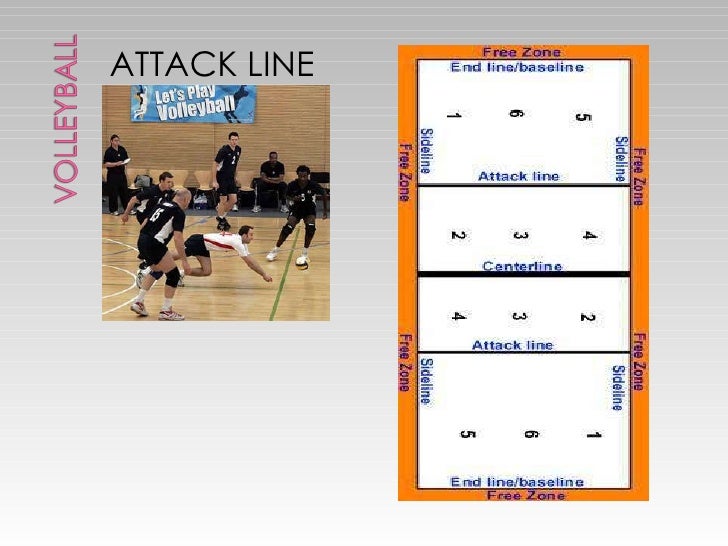 Volleyball Vocabulary 1º ESo Secciones