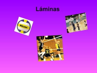 Láminas   