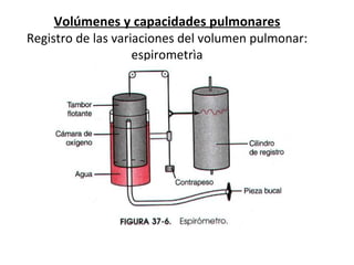Volúmenes y capacidades pulmonares Registro de las variaciones del volumen pulmonar: espirometrìa 