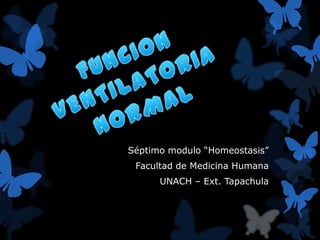 Séptimo modulo “Homeostasis”
 Facultad de Medicina Humana
      UNACH – Ext. Tapachula
 