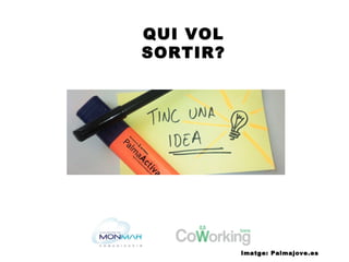 QUI VOL
SORTIR?
Imatge: Palmajove.es
 