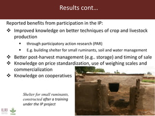 Impact of innovation platforms on marketing relationships: The case of Volta Basin integrated crop-livestock value chains in northern Ghana