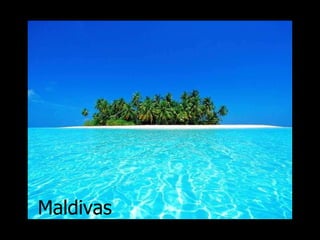 Maldivas 