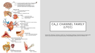 Voltage Gated Calcium Channels (VGCC) and Its Role in Neurological ...