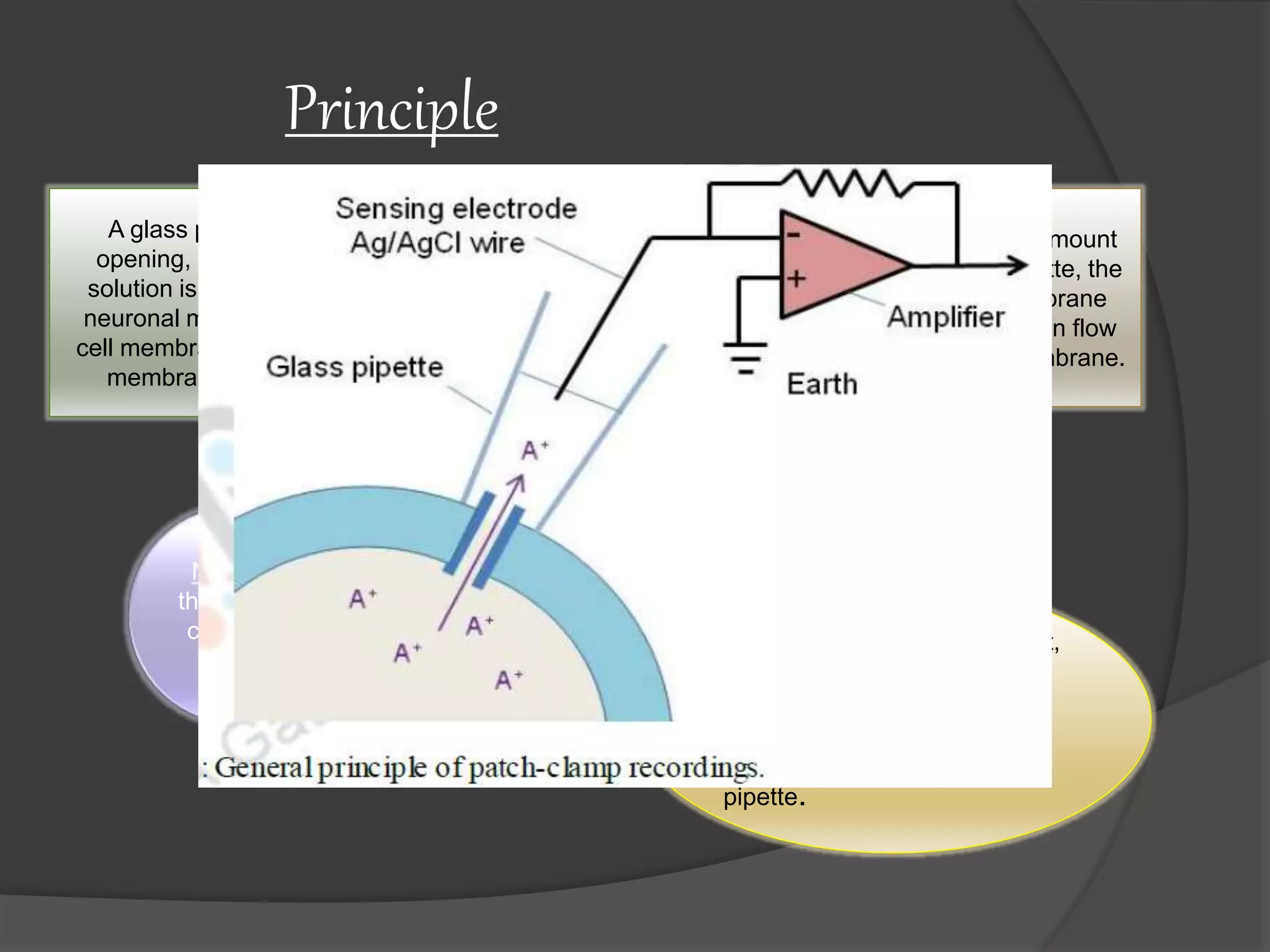Voltage and patch clamping | PPTX