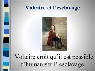 Voltaire et l’esclavage Voltaire croit qu’il est possible d’humaniser l’ esclavage.  