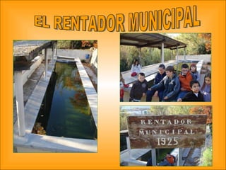 EL RENTADOR MUNICIPAL 