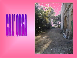 CA L' ORGA 