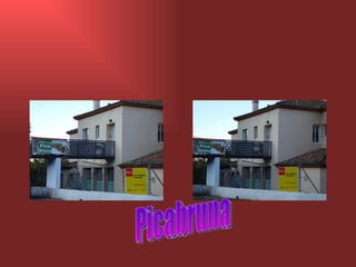 Picabruna 