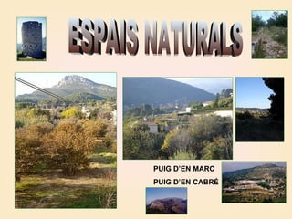 ESPAIS NATURALS PUIG D’EN MARC PUIG D’EN CABRÉ 
