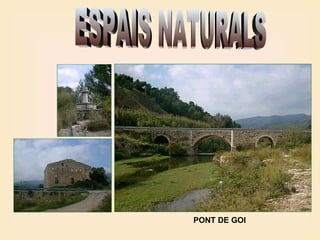 ESPAIS NATURALS PONT DE GOI 