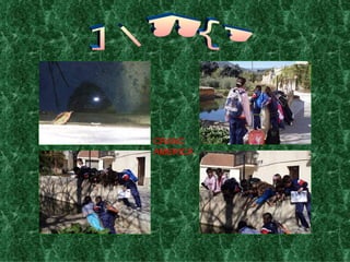 BASSES CRANC AMERICÀ 