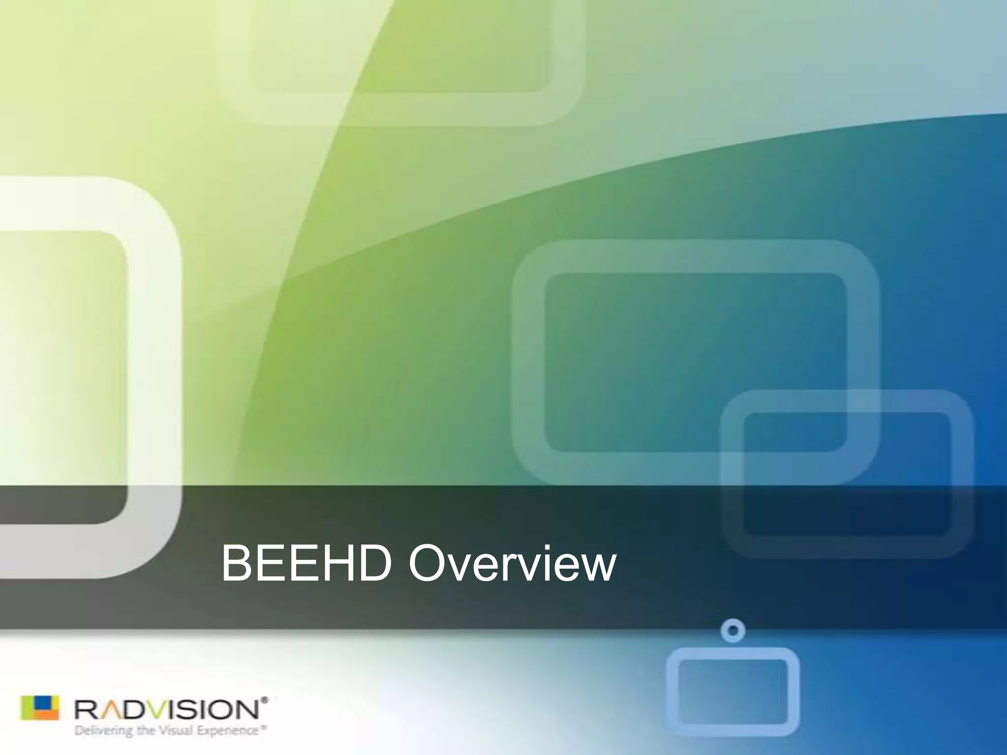 BEEHD Overview
 