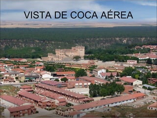 VISTA DE COCA AÉREA
 