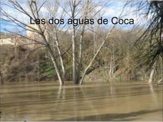 Las dos aguas de Coca
 