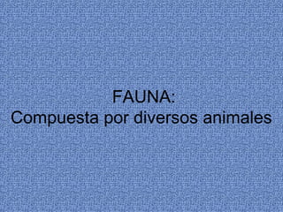 FAUNA:
Compuesta por diversos animales
 