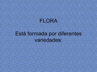 FLORA

Está formada por diferentes
        variedades:
 