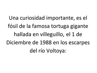 Una curiosidad importante, es el
fósil de la famosa tortuga gigante
   hallada en villeguillo, el 1 de
Diciembre de 1988 en los escarpes
           del río Voltoya:
 