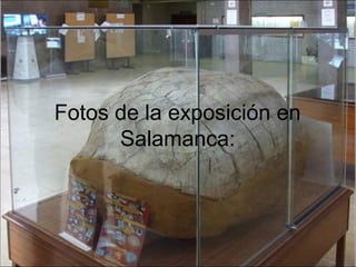 Fotos de la exposición en
      Salamanca:
 