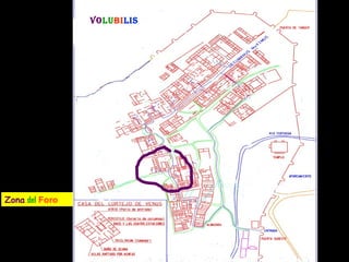 Vo lu bi lis Zona   del   Foro 