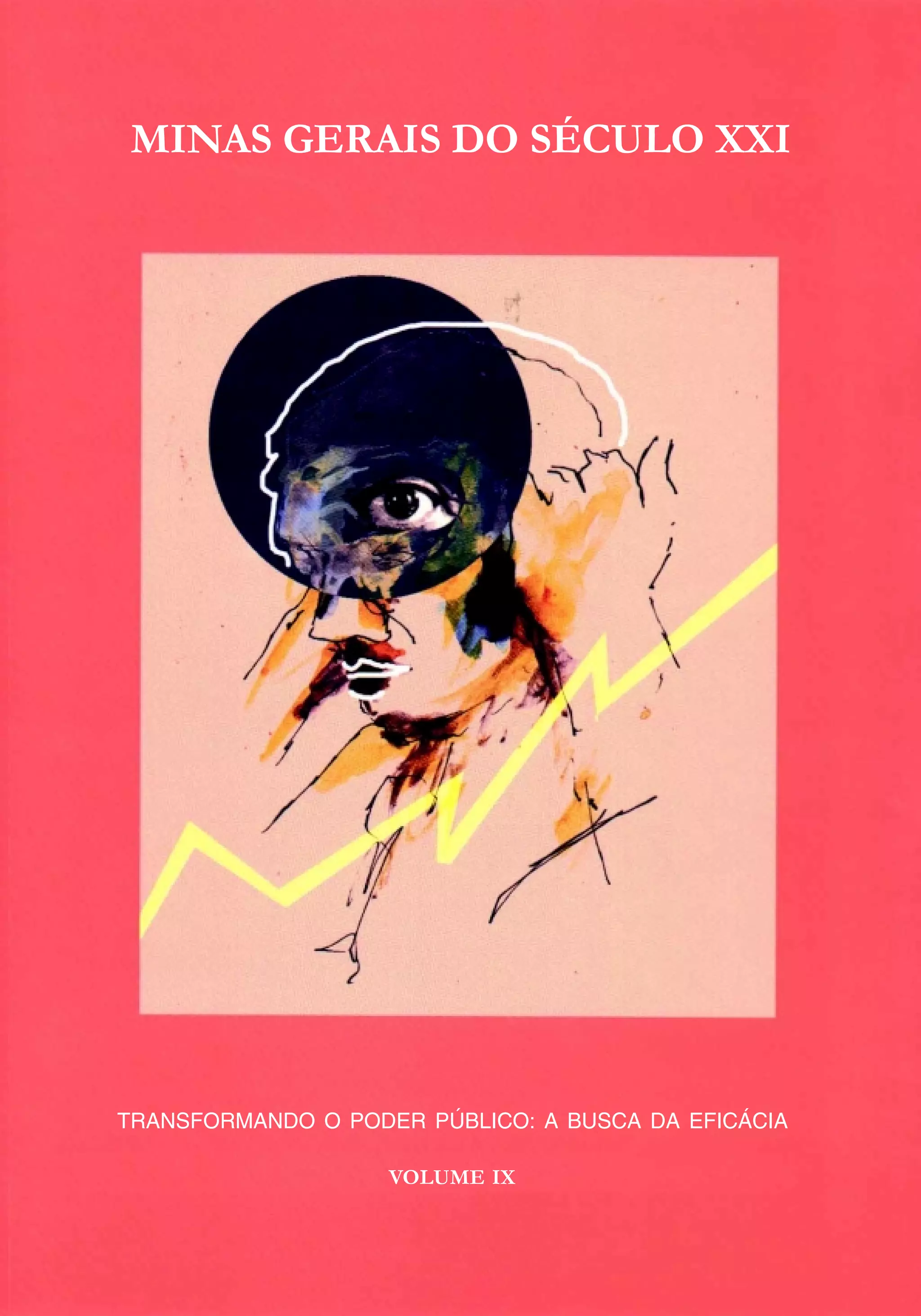 Volume 9 O Poder Publico